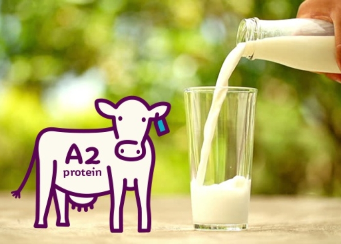 Sữa A2 có phù hợp với trẻ em không?