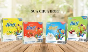 Giới thiệu chung về thương hiệu sữa chua Hoff