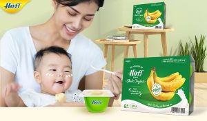 Công dụng và lợi ích sức khỏe khi sử dụng sữa chua Hoff