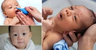 Các bài thuốc thiên nhiên giúp trẻ sạch họng loãng đờm hiệu quả