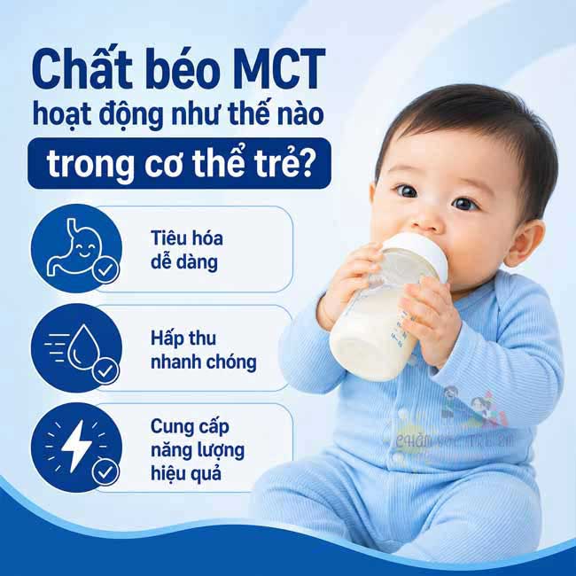 Chất béo MCT hoạt động như thế nào trong cơ thể trẻ?